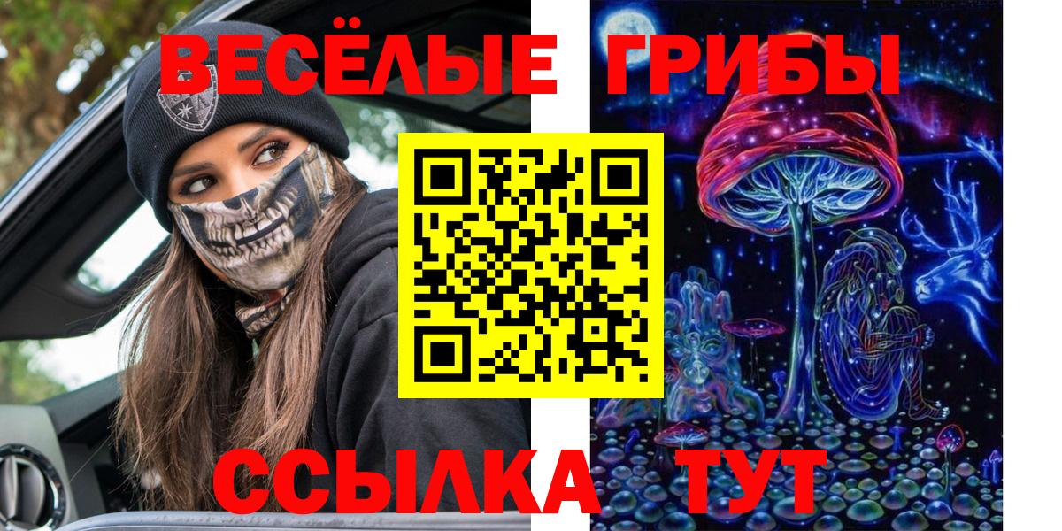 Псилоцибиновые грибы мицелий  Галлюциногенные грибы мицелий  Вход с VPN  Чебаркуль 