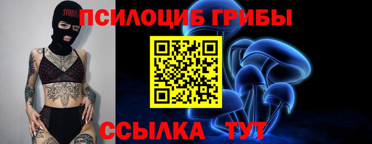 Псилоцибиновые грибы MAGIC MUSHROOMS Чебаркуль